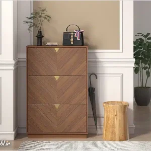 جاکفشی ماکان